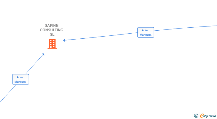 Vinculaciones societarias de SAPINN CONSULTING SL
