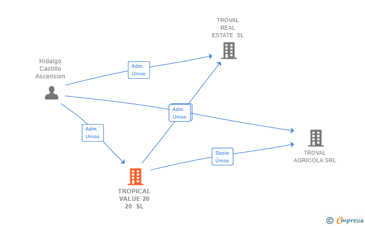 Vinculaciones societarias de TROPICAL VALUE 20 20 SL