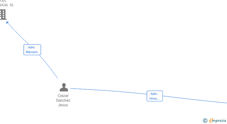 Vinculaciones societarias de MULTISERVICIOS AVEMONTE SL