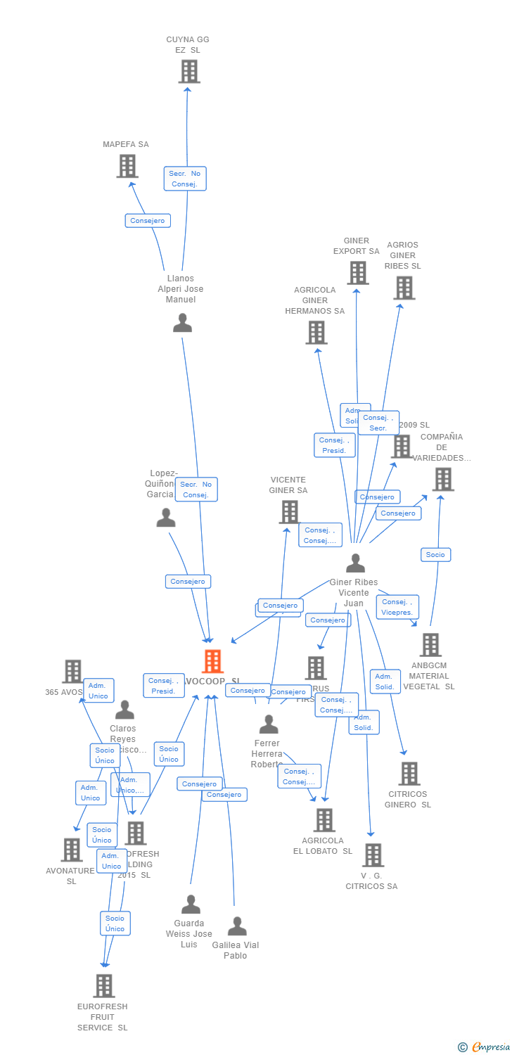 Vinculaciones societarias de AVOCOOP SL