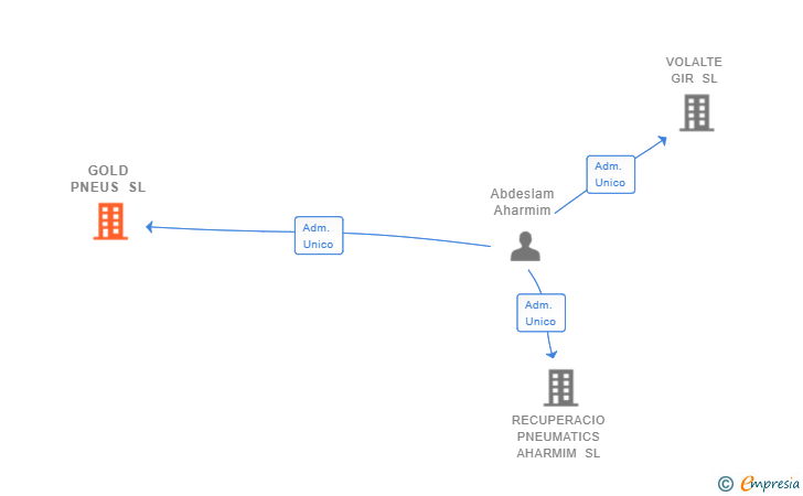 Vinculaciones societarias de GOLD PNEUS SL