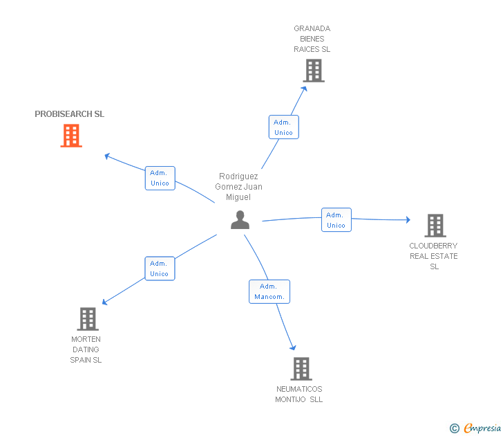 Vinculaciones societarias de PROBISEARCH SL