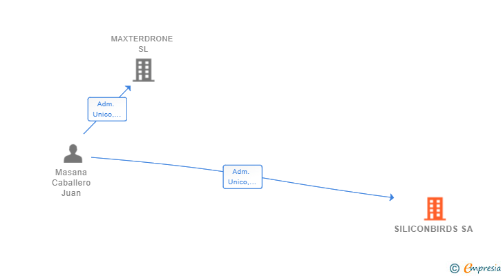 Vinculaciones societarias de SILICONBIRDS SA