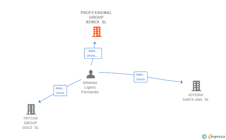 Vinculaciones societarias de PROFESSIONAL GROUP XENEX SL