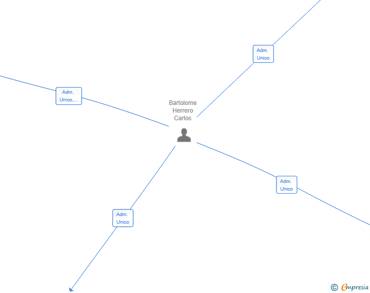 Vinculaciones societarias de BILINGU EDUCATION SL