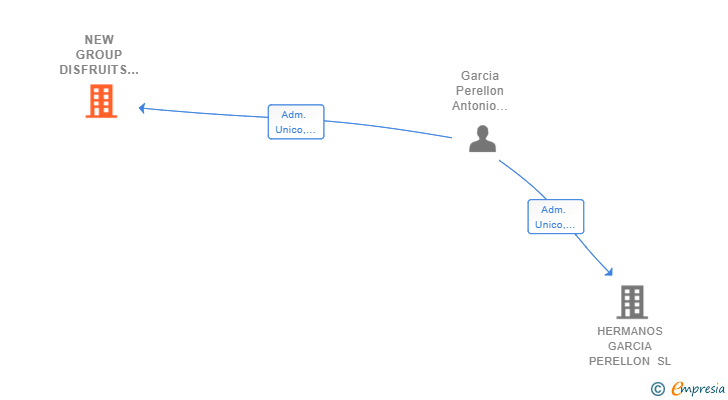 Vinculaciones societarias de NEW GROUP DISFRUITS SL