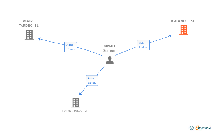 Vinculaciones societarias de IGUANEC SL