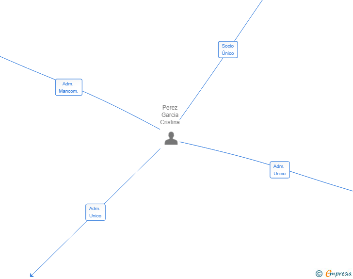 Vinculaciones societarias de MICCIH ALGODON SL