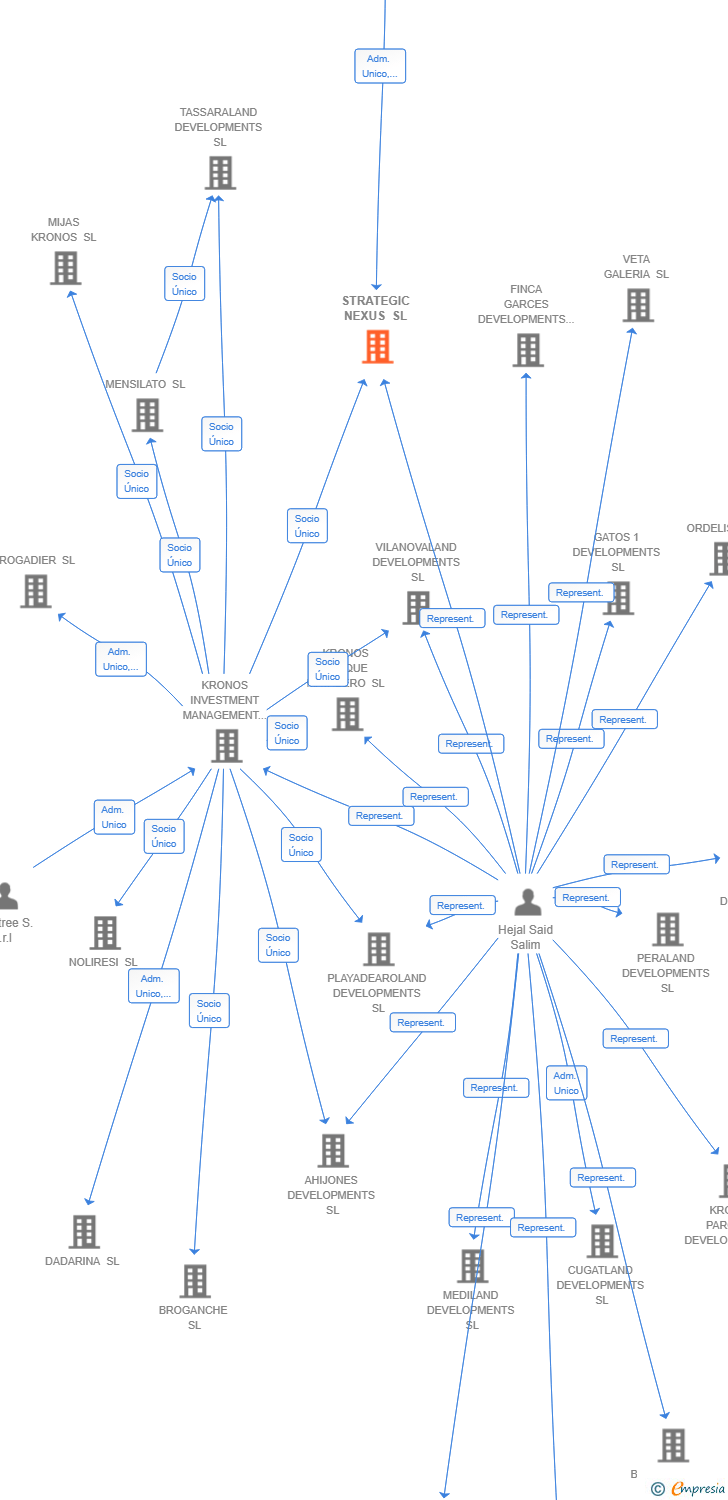 Vinculaciones societarias de STRATEGIC NEXUS SL
