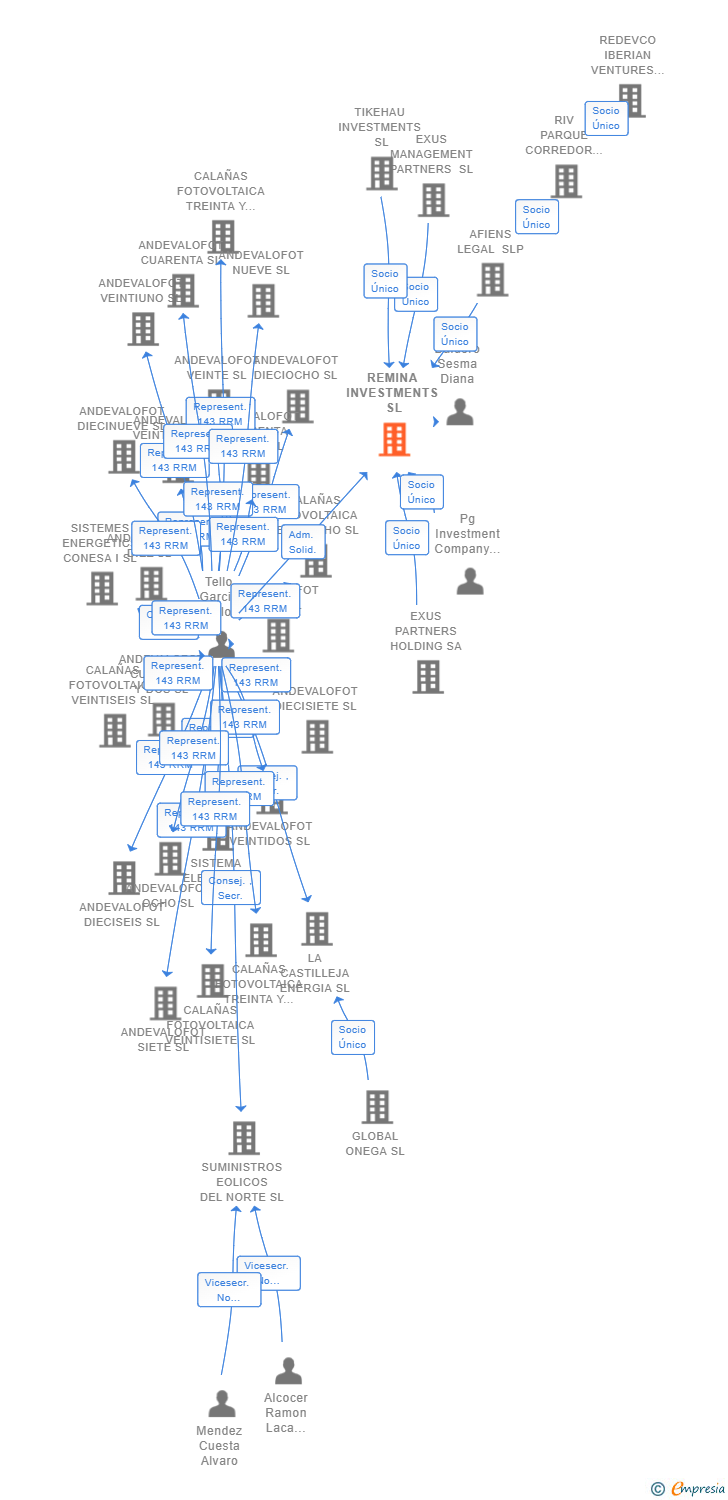 Vinculaciones societarias de REMINA INVESTMENTS SL