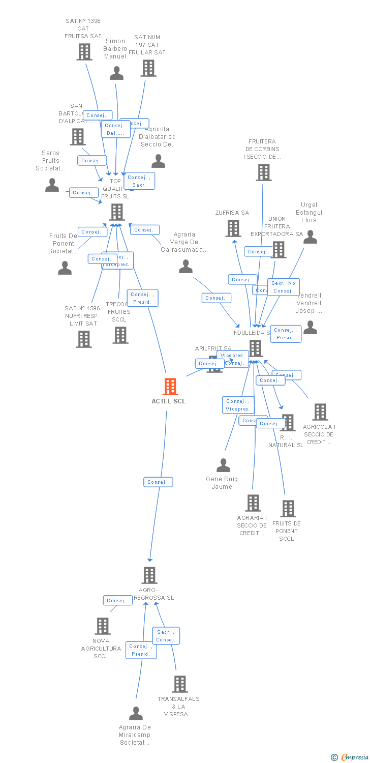 Vinculaciones societarias de ACTEL SCL