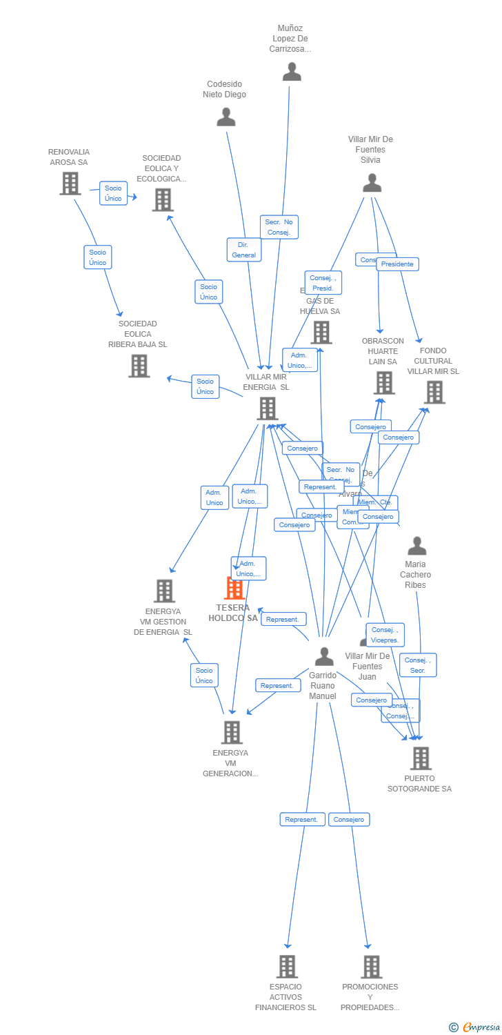Vinculaciones societarias de TESERA HOLDCO SA