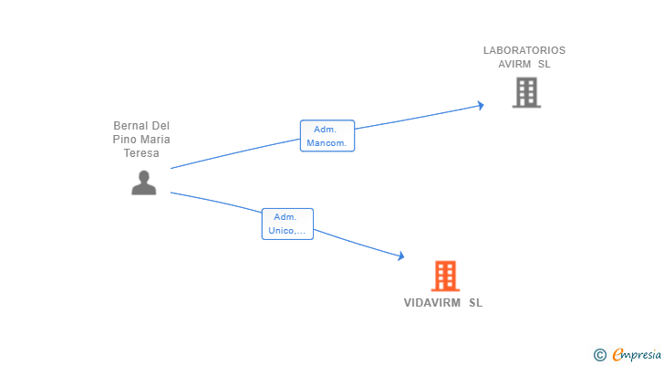 Vinculaciones societarias de VIDAVIRM SL
