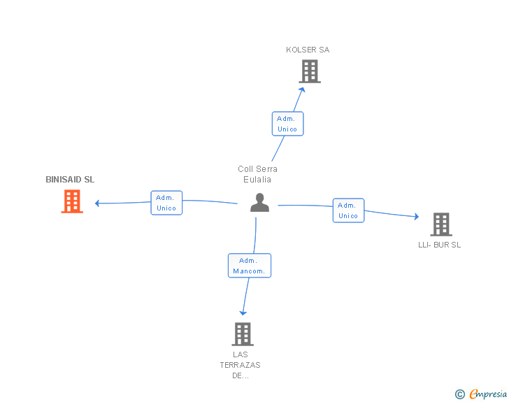 Vinculaciones societarias de BINISAID SL