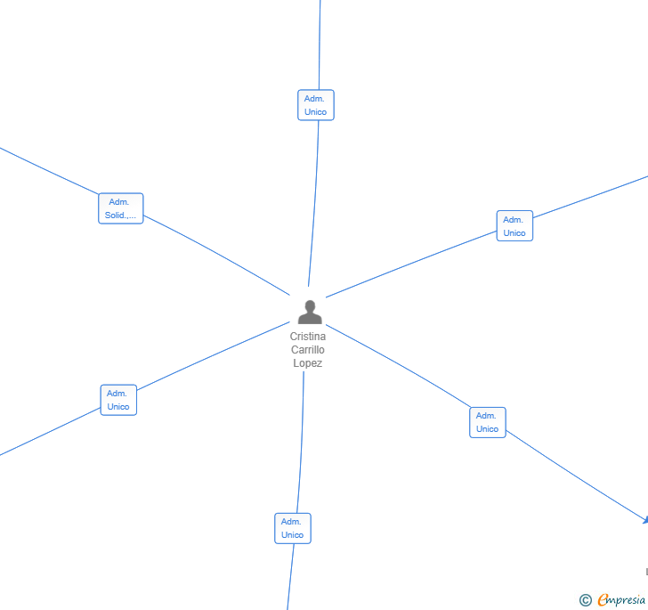 Vinculaciones societarias de SANDI ACTIVOS Y CARTERAS SL