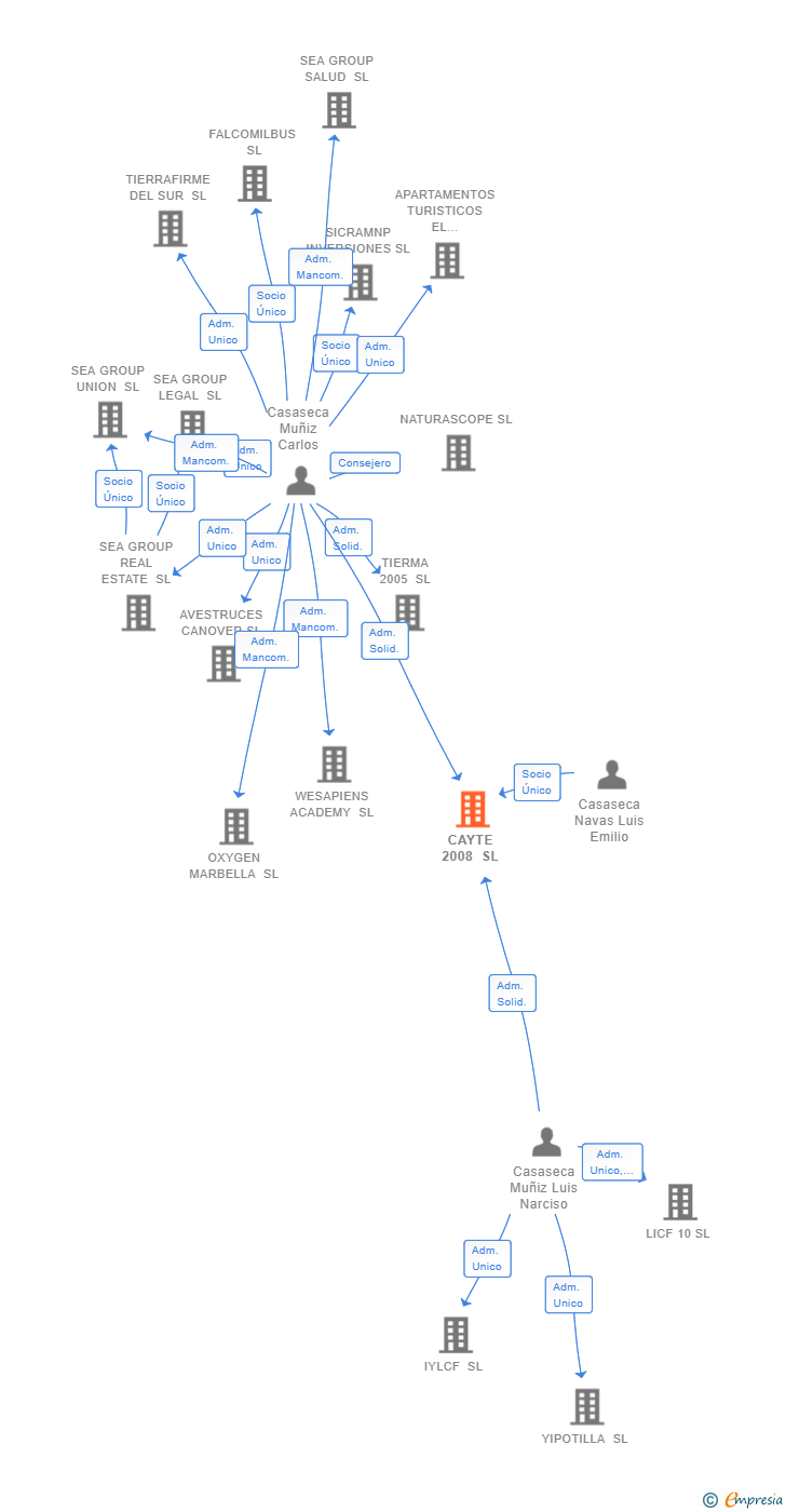 Vinculaciones societarias de CAYTE 2008 SL