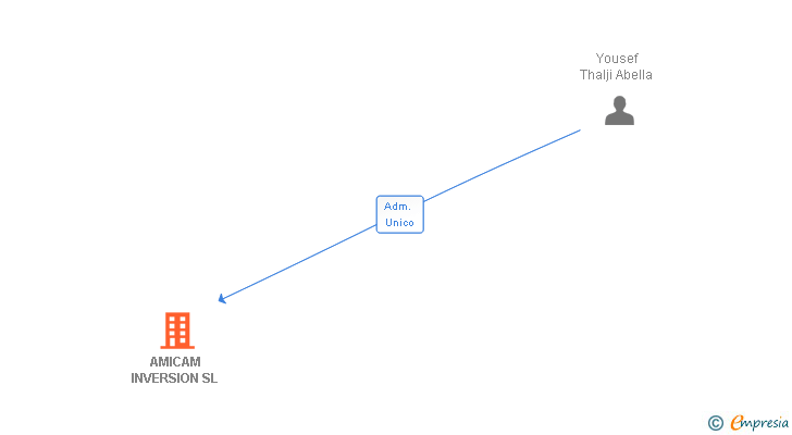 Vinculaciones societarias de AMICAM INVERSION SL