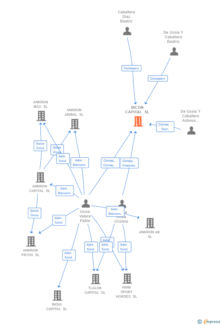 Vinculaciones societarias de BICON CAPITAL SL