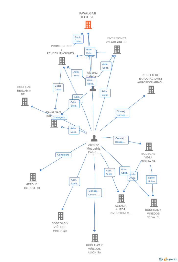 Vinculaciones societarias de PAVALGAN ILEX SL