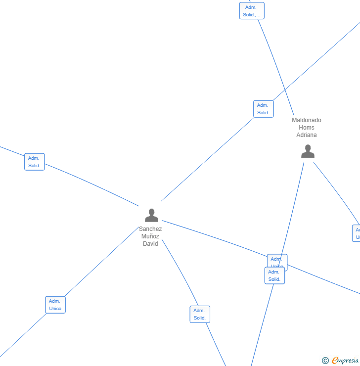 Vinculaciones societarias de ASESORES PAUMAN SL