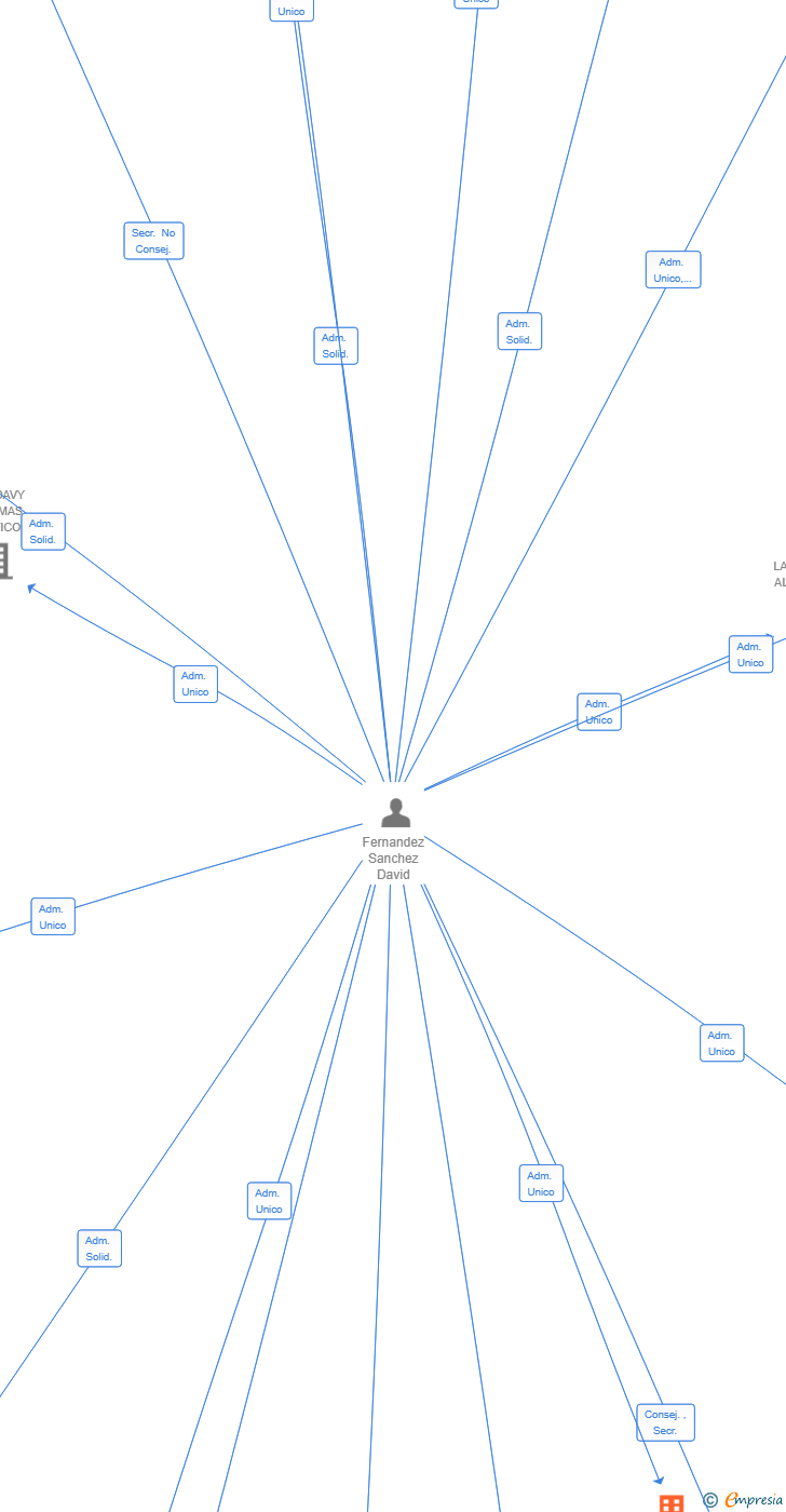 Vinculaciones societarias de DAFER SOLUCIONES INTEGRALES SL