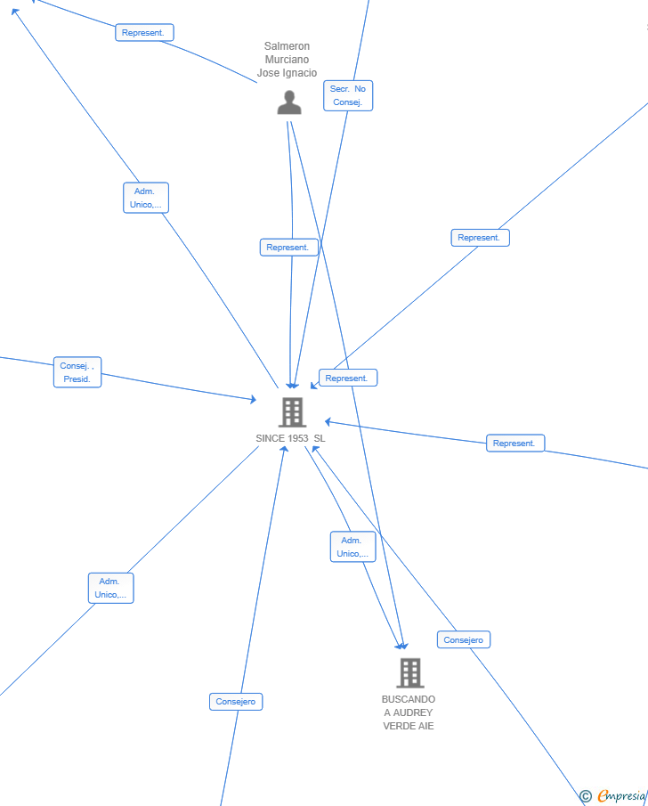 Vinculaciones societarias de BUSCANDO A AUDREY NARANJA AIE