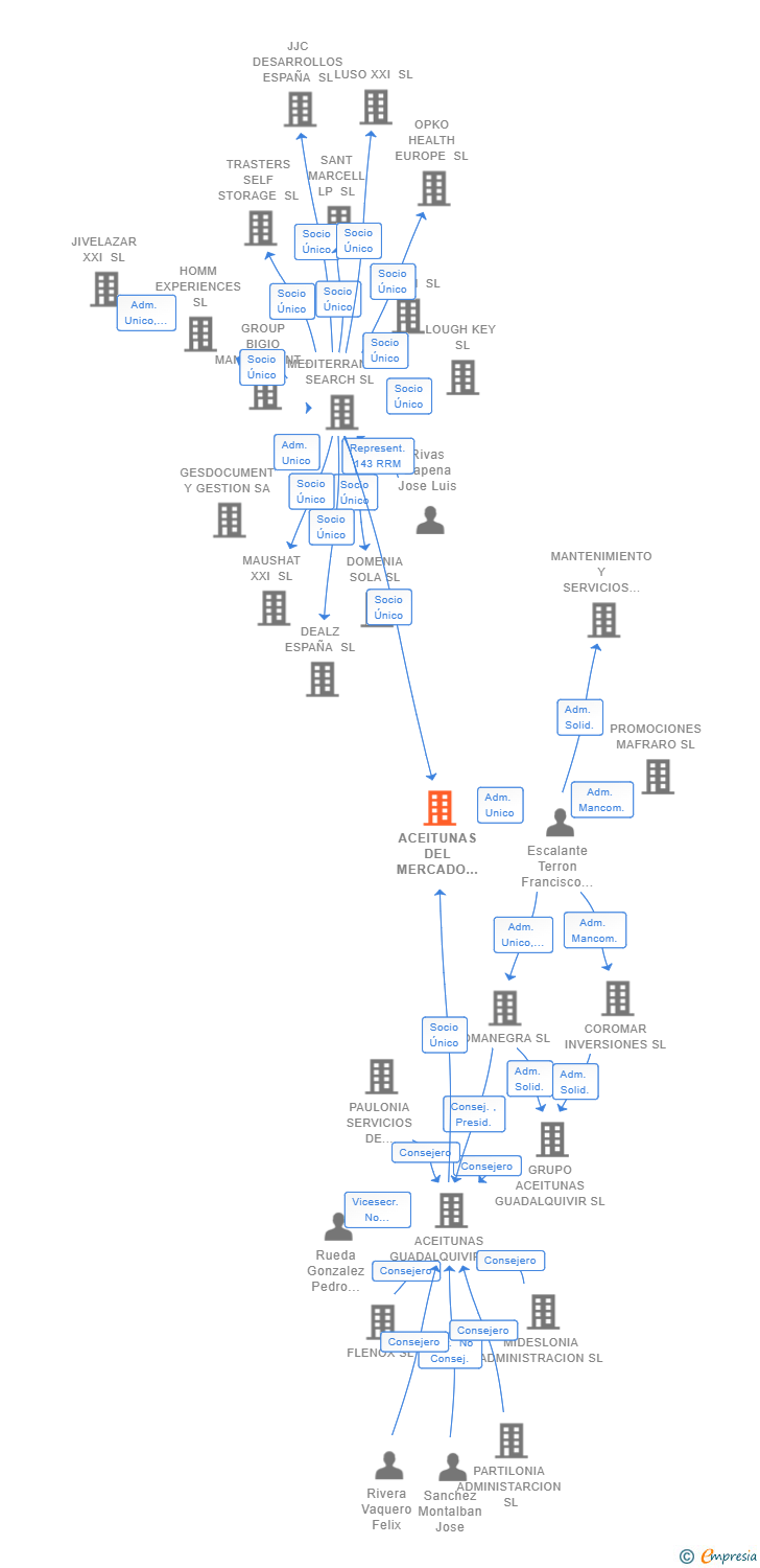 Vinculaciones societarias de ACEITUNAS DEL MERCADO SL