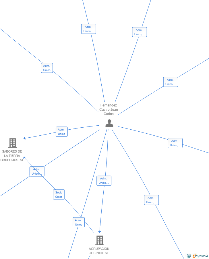 Vinculaciones societarias de BLUESERVICES2000 SL