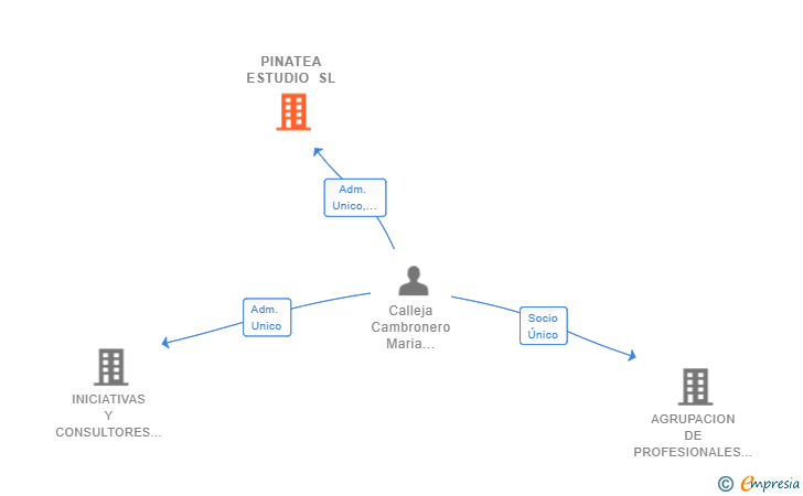 Vinculaciones societarias de PINATEA ESTUDIO SL