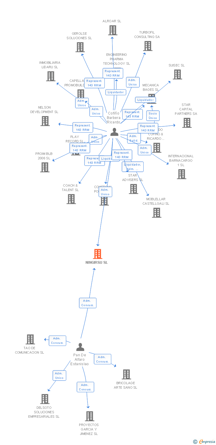 Vinculaciones societarias de NINGIRSU SL
