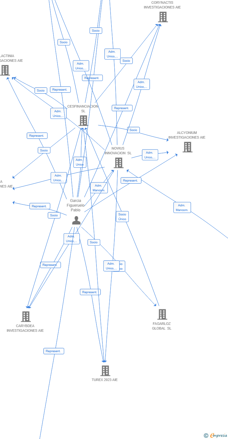 Vinculaciones societarias de BRIAREUM INVESTIGACIONES AIE