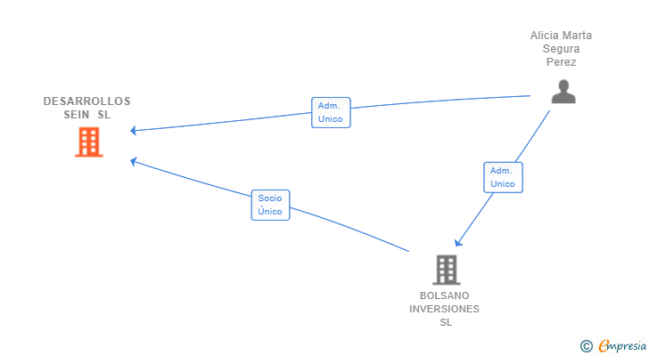 Vinculaciones societarias de DESARROLLOS SEIN SL