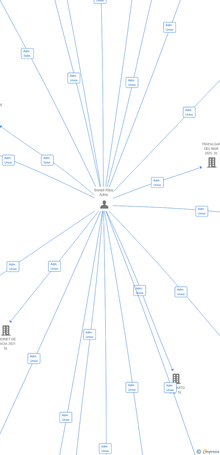 Vinculaciones societarias de SKYFALL IN THE SKY SL