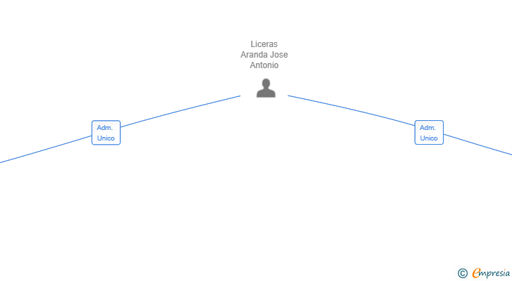 Vinculaciones societarias de TPV IMPORTACIONES SL