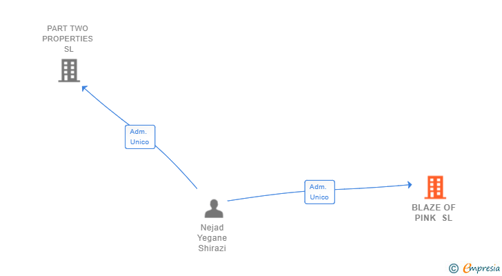 Vinculaciones societarias de BLAZE OF PINK SL