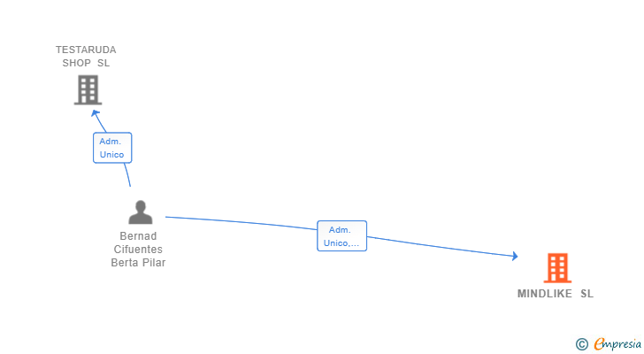 Vinculaciones societarias de MINDLIKE SL