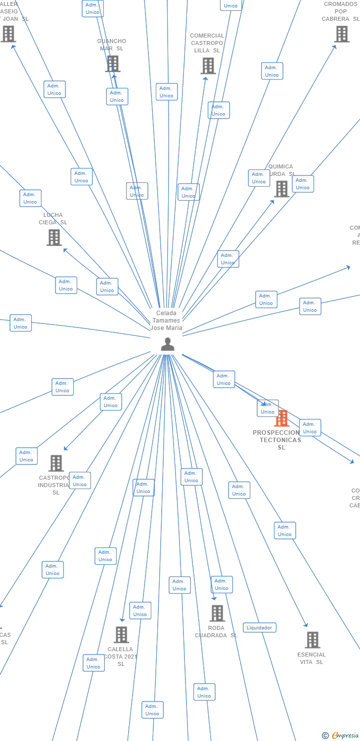 Vinculaciones societarias de PROSPECCIONES TECTONICAS SL