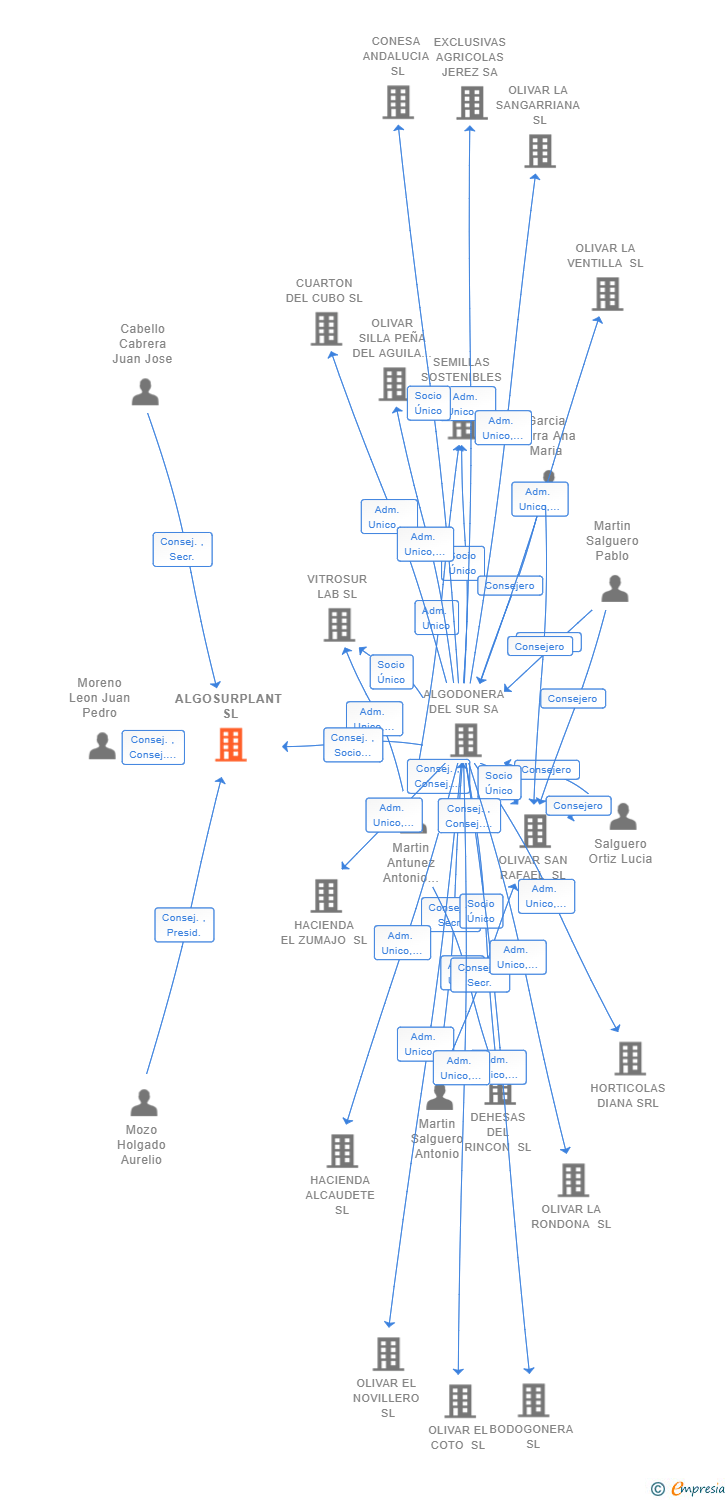 Vinculaciones societarias de ALGOSURPLANT SL