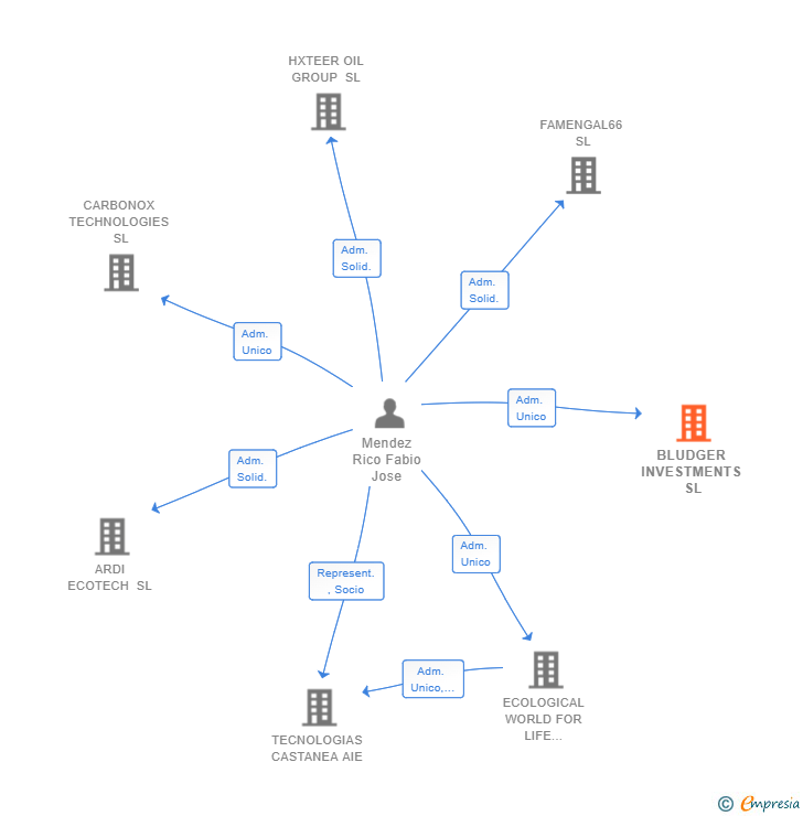Vinculaciones societarias de BLUDGER INVESTMENTS SL