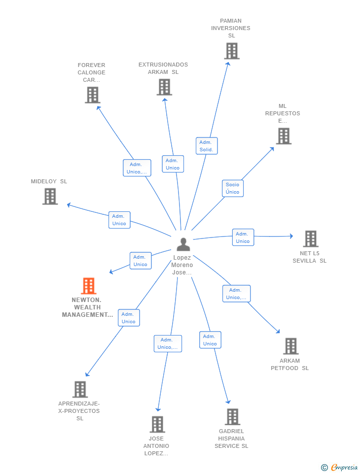Vinculaciones societarias de NEWTON. WEALTH MANAGEMENT SL
