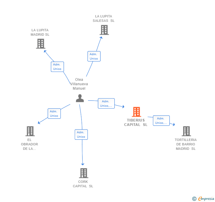 Vinculaciones societarias de TIBERIUS CAPITAL SL