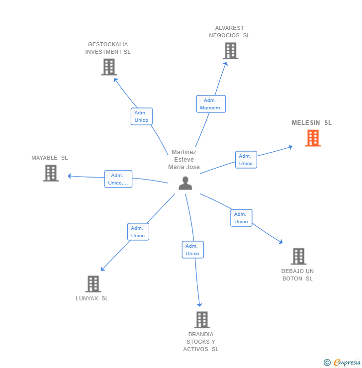 Vinculaciones societarias de MELESIN SL