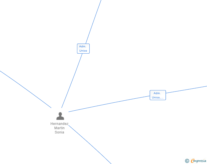 Vinculaciones societarias de AUTOPLAN IBERICA SL