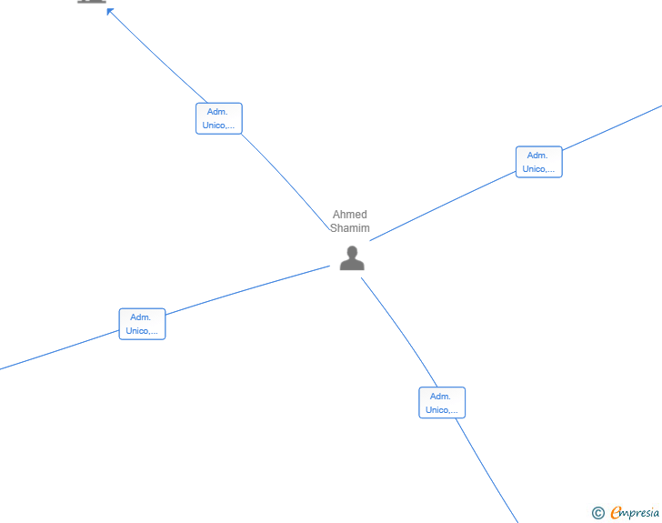 Vinculaciones societarias de SOLUCIONES INTEGRALES MULTIFACET SL