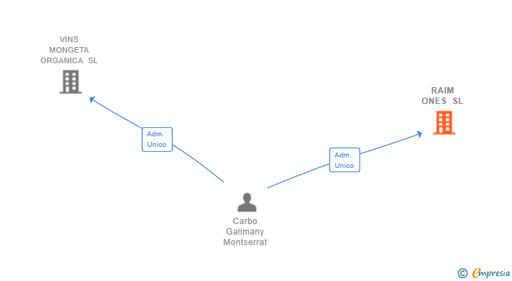 Vinculaciones societarias de RAIM ONES SL