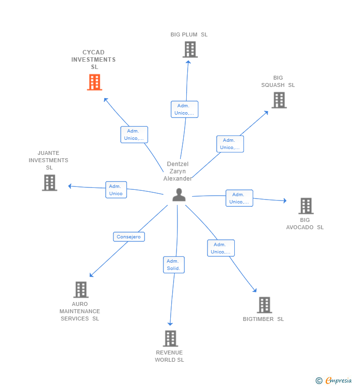 Vinculaciones societarias de CYCAD INVESTMENTS SL