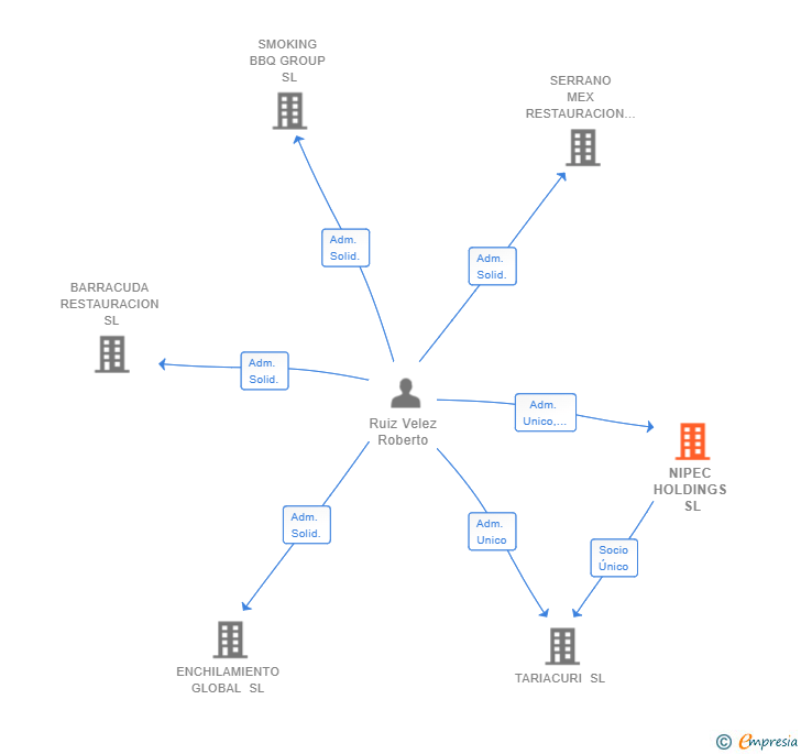 Vinculaciones societarias de NIPEC HOLDINGS SL