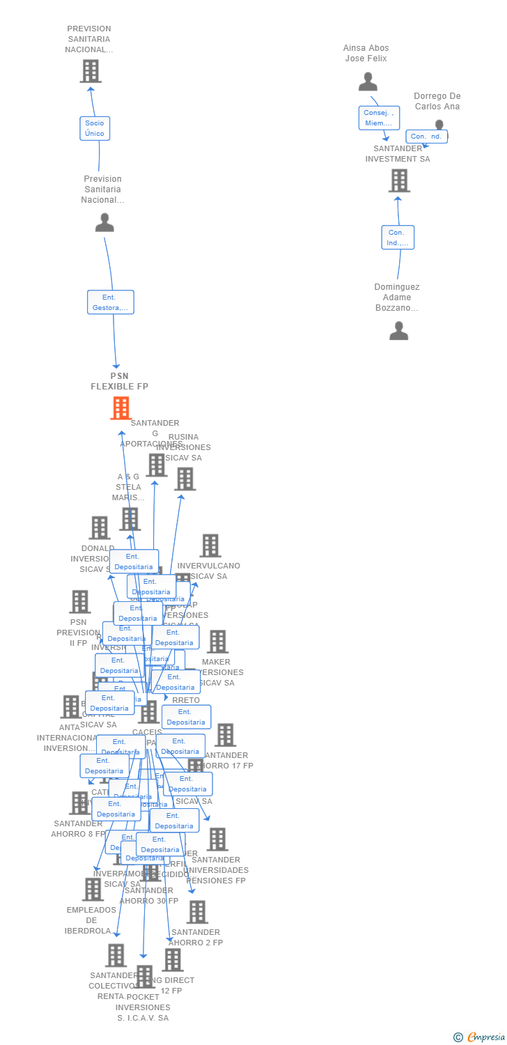 Vinculaciones societarias de PSN FLEXIBLE FP