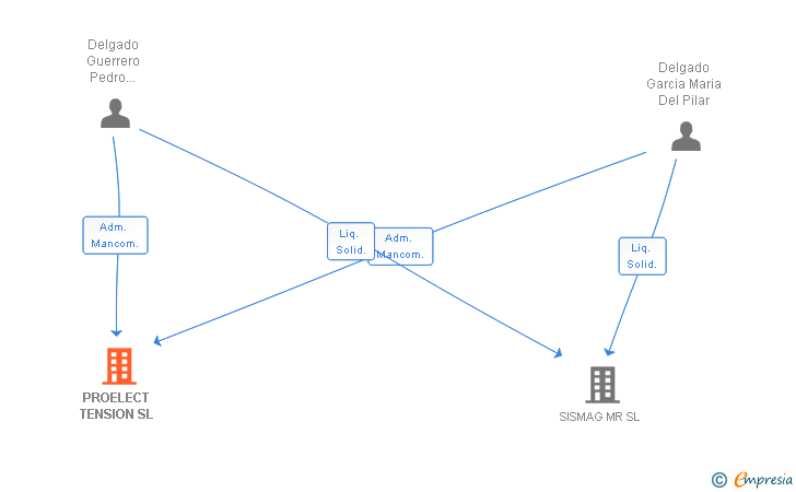 Vinculaciones societarias de PROELECT TENSION SL