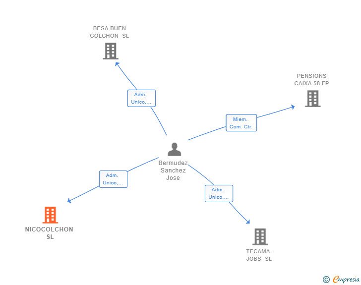 Vinculaciones societarias de NICOCOLCHON SL
